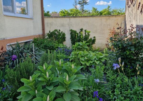 Čiastočne zrekonštruovaný dom vo výbornej lokalite s garážou