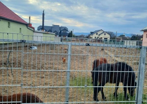 Na predaj pozemok v obci MILHOSTOV