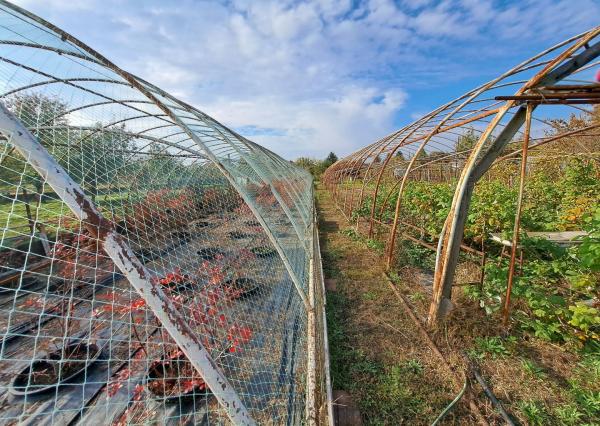 Rodinný dom s pozemkom vhodným na podnikanie