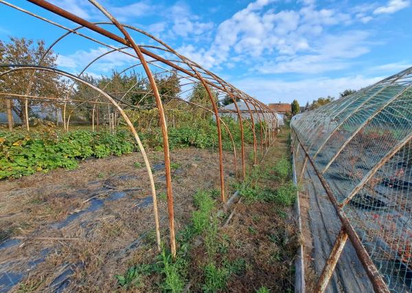 Rodinný dom s pozemkom vhodným na podnikanie