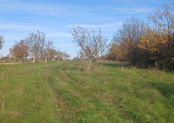 ZNÍŽENÁ CENA! - Pozemok s inžinierskymi sieťami Žemberovce / Levice