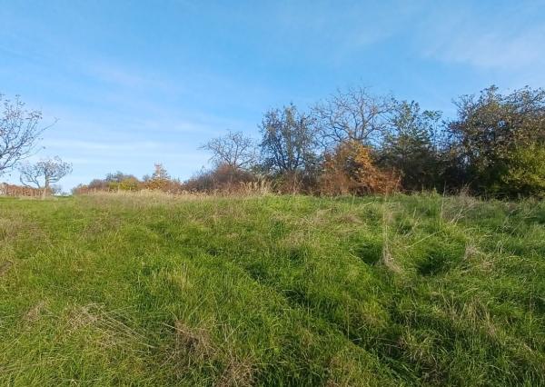 ZNÍŽENÁ CENA! - Pozemok s inžinierskymi sieťami Žemberovce / Levice