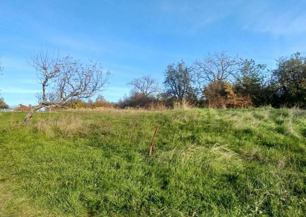 ZNÍŽENÁ CENA! - Pozemok s inžinierskymi sieťami Žemberovce / Levice