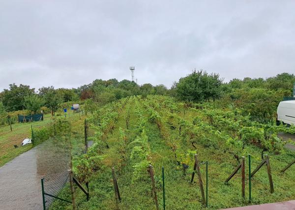 JEDINEČNÁ PONUKA! Rekreačná celoročne obývateľná chata/dom na predaj