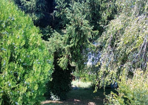 3-izbový RD s príjemnou záhradou 1750m2