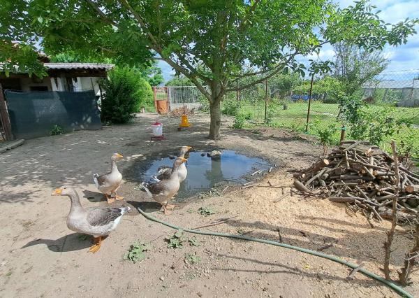 NOVINKA! Rodinný dom na predaj