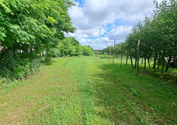 NOVINKA! Rodinný dom na predaj