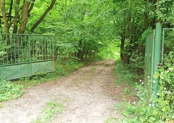 Jedinečná chata v lese, vhodná na investíciu