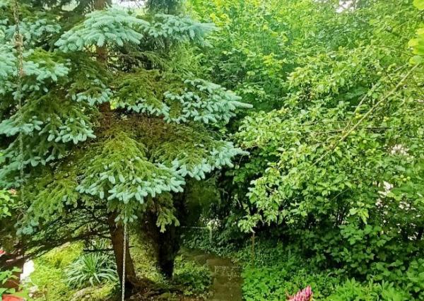 PREDANÉ! Čarovná chalupa s panoramatickým výhľadom pri Banskej Štiavnici