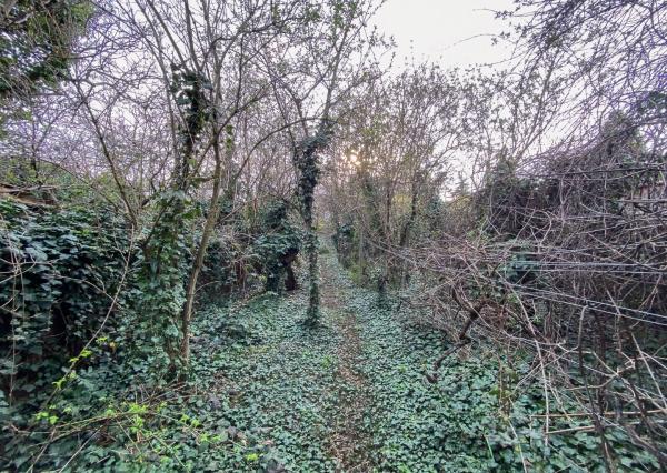 Znížená cena - Jedinečná príležitosť - Historický vinársky dom v samotnom srdci Pezinka