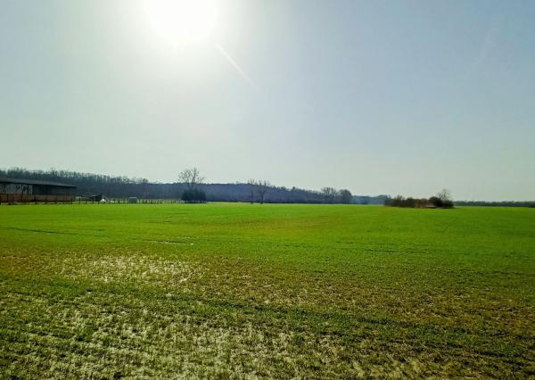 Rovinatý pozemok na predaj v blízkosti prírody