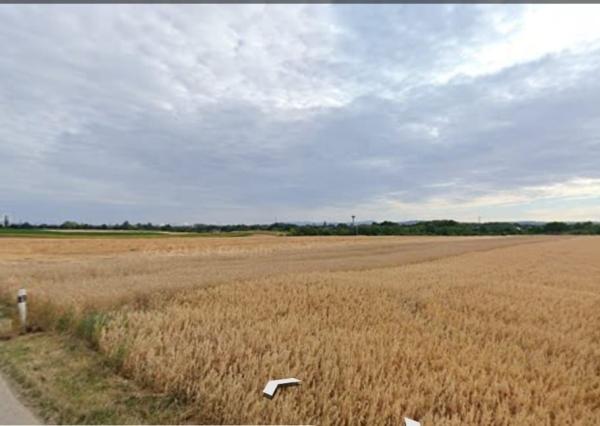 Predaj pozemku - záhrada v Bučanoch