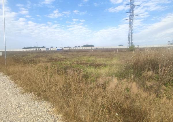 Shark real  ponúka  na predaj pozemok v Nitre,  Lukov dvor.  Plocha: pozemku 1645m2. 