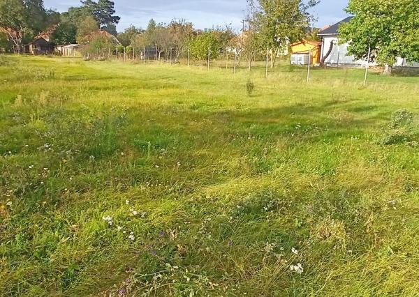 Len u nás nová cena! Rovinatý pozemok na predaj