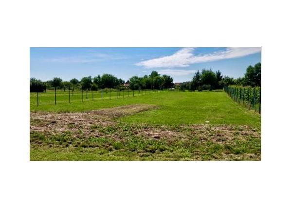 Rozľahlý pozemok v obci Pavlice okr.Trnava