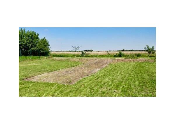 Rozľahlý pozemok v obci Pavlice okr.Trnava