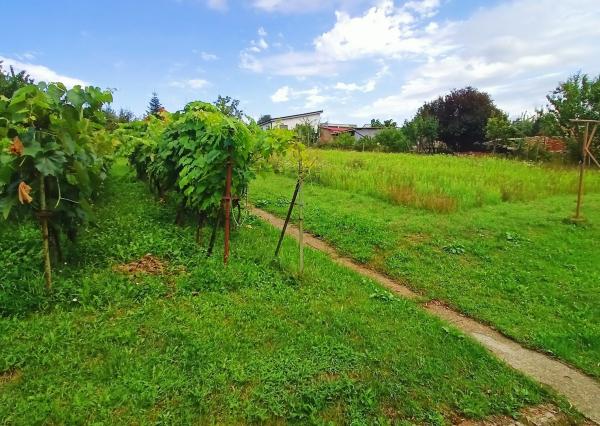 Exkluzívne - veľký pozemok na predaj