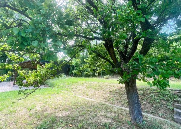 Chatka v lone prírody s pekným pozemkom