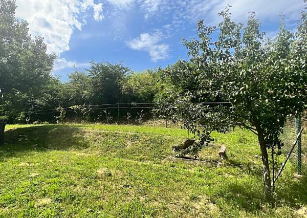 Chatka v lone prírody s pekným pozemkom