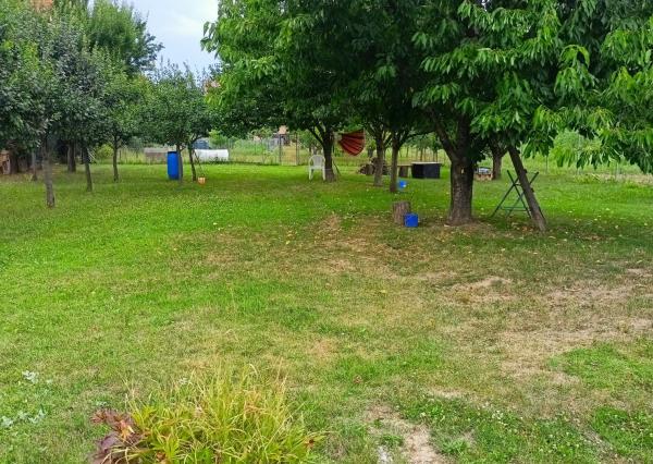 Krásny vidiecky dom s rozsiahlym pozemkom