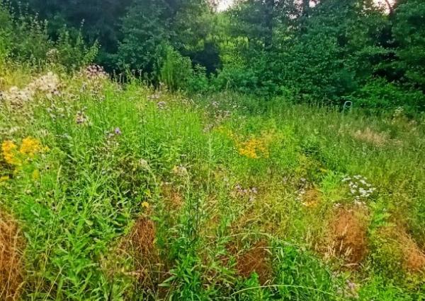 Znížená cena! Stavebný pozemok na predaj
