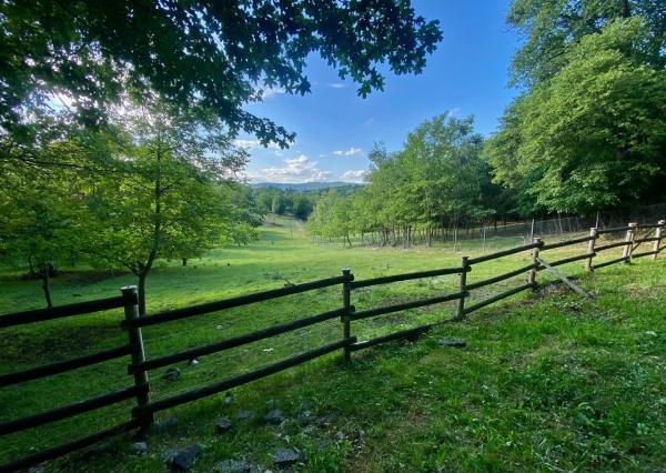 Nádherný investičný pozemok pri lese