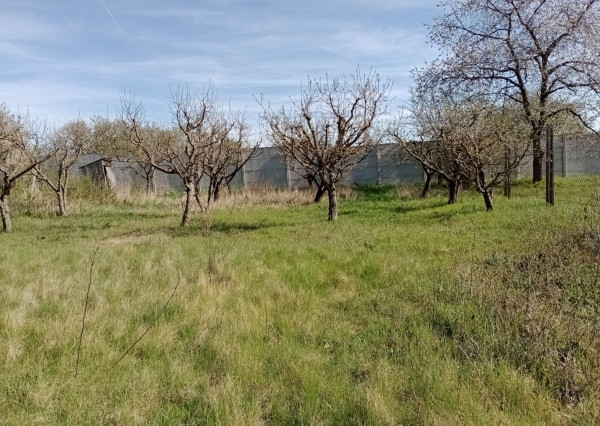 Slnečný pozemok v Poľnom Kesove
