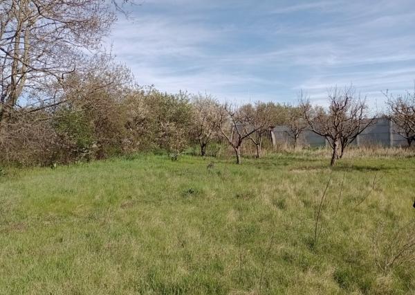 Slnečný pozemok v Poľnom Kesove