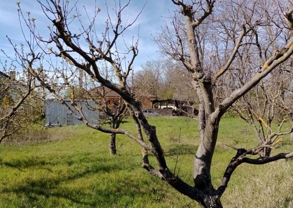 Slnečný pozemok v Poľnom Kesove