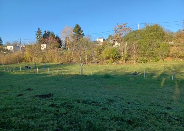 Na predaj veľký pozemok v chatovej oblasti. SUPER PONUKA!