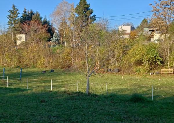 Na predaj veľký pozemok v chatovej oblasti. SUPER PONUKA!