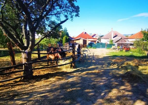 Znížená cena. Zrekonštruovaný rodinný dom vo Veľkých Kostoľanoch