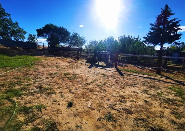 Znížená cena. Zrekonštruovaný rodinný dom vo Veľkých Kostoľanoch