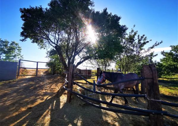 Znížená cena. Zrekonštruovaný rodinný dom vo Veľkých Kostoľanoch