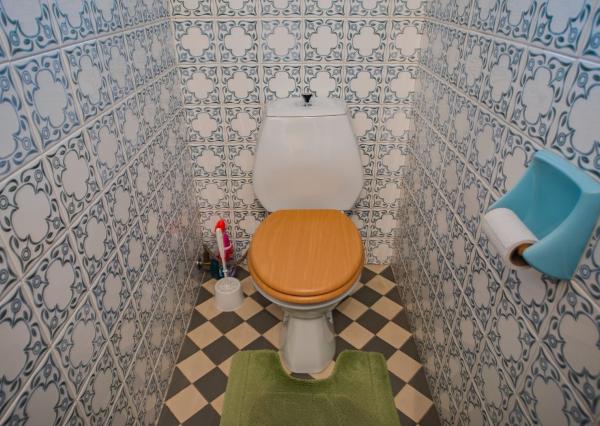 Peknučký zrekonštruovaný dom s veľkou úžitkovou záhradou