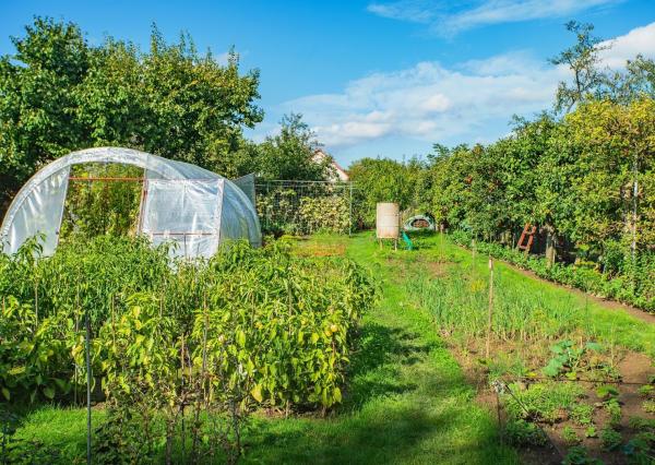 Peknučký zrekonštruovaný dom s veľkou úžitkovou záhradou