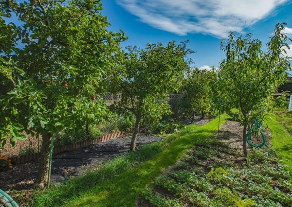 Peknučký zrekonštruovaný dom s veľkou úžitkovou záhradou