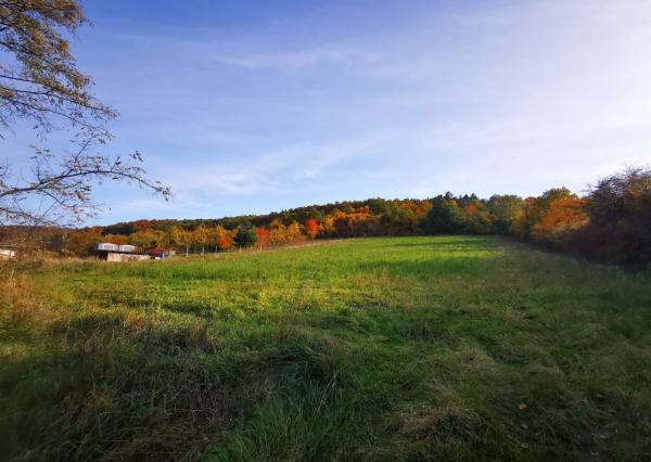 Na predaj slnečný stavebný pozemok v Sokolovciach