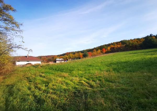 Na predaj slnečný stavebný pozemok v Sokolovciach