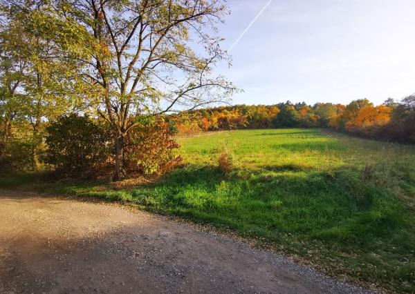 Na predaj slnečný stavebný pozemok v Sokolovciach