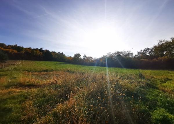 Na predaj slnečný stavebný pozemok v Sokolovciach