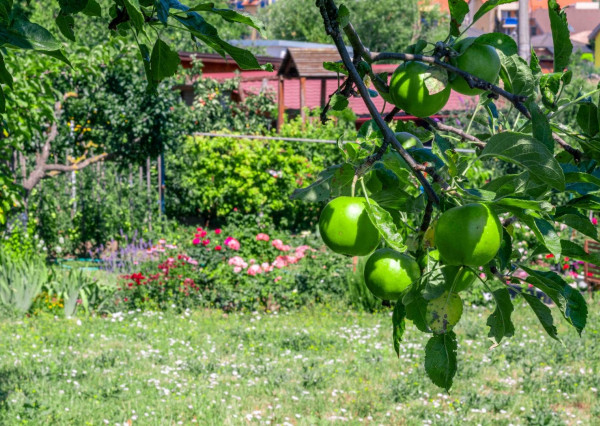 ZNÍŽENÁ CENA - EXKLUZÍVNE: Záhrada s murovanou chatkou – Špačince, Dolný mlyn – len 5 minút od Trnavy!