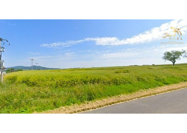 Stavebné pozemky neďaleko Nitry