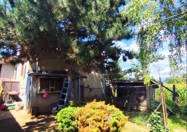 Priestranný a udržiavaný rodinný dom na predaj