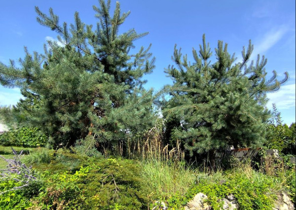 Exkluzívne- Útulný dom s nádhernou záhradou v krásnej prírode