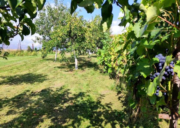 Exkluzívne- Útulný dom s nádhernou záhradou v krásnej prírode