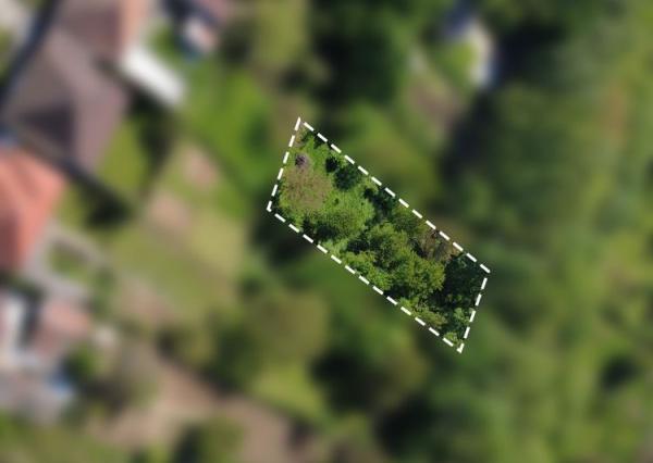 Záhrada _ zámocký park Suchá nad Parnou