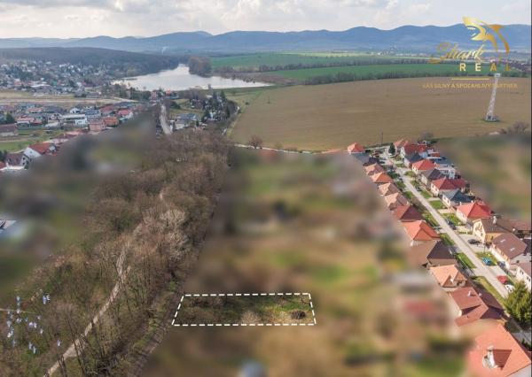 Záhrada _ zámocký park Suchá nad Parnou