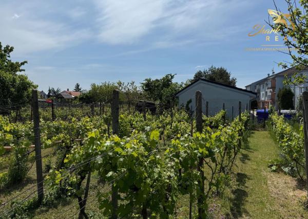 Rodinný dom na predaj v obci Slovenský Grob