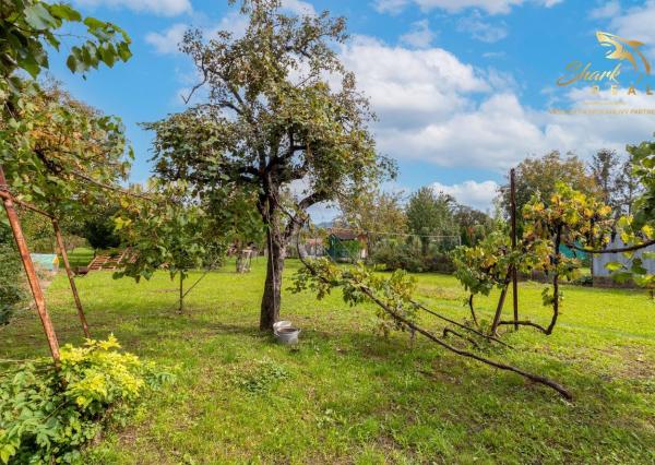 Atraktívny stavebný pozemok pri Novom Meste n. Váhom